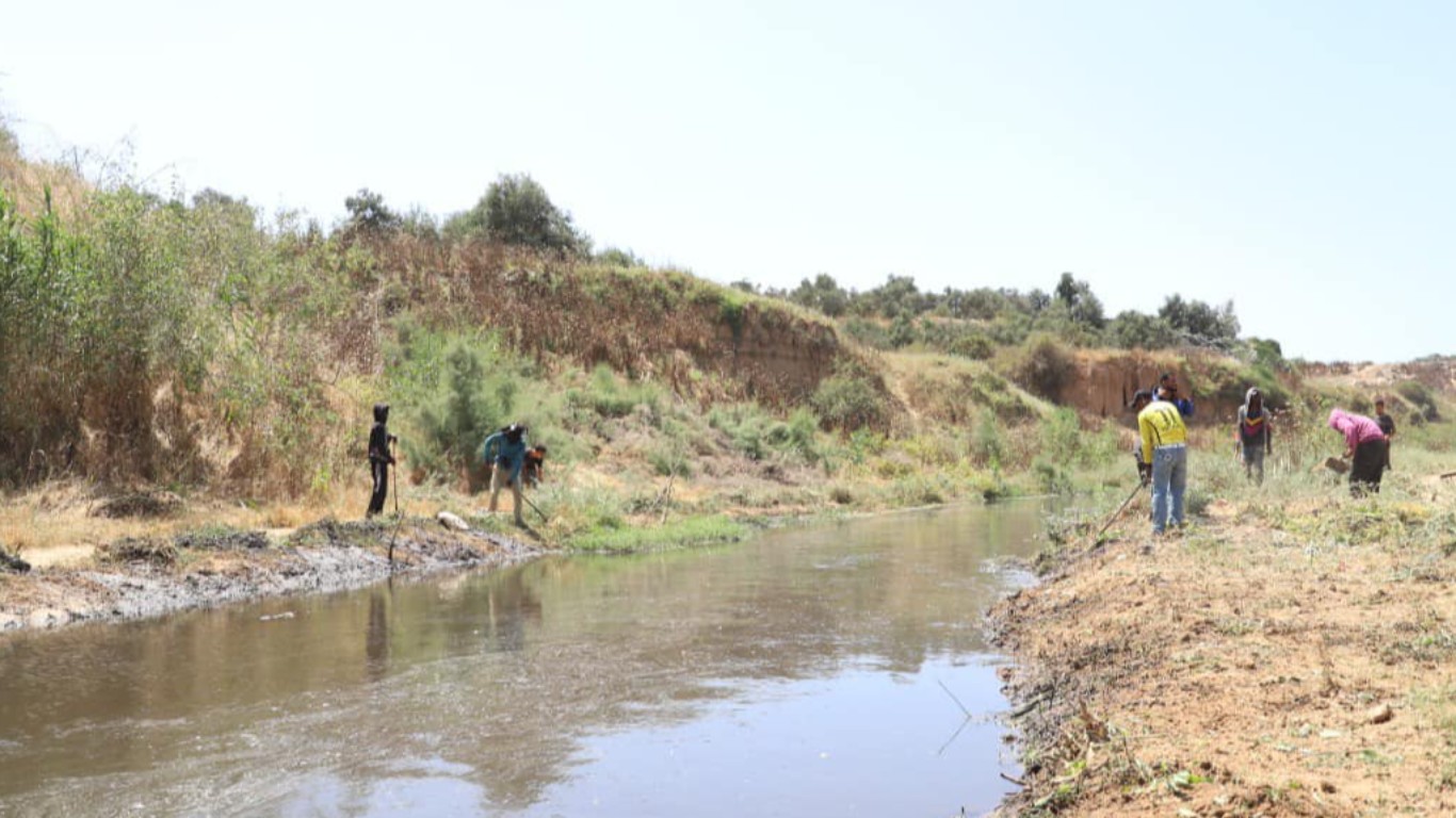 ضمن الجهود المبذولة في مكافحة حشرة البعوض