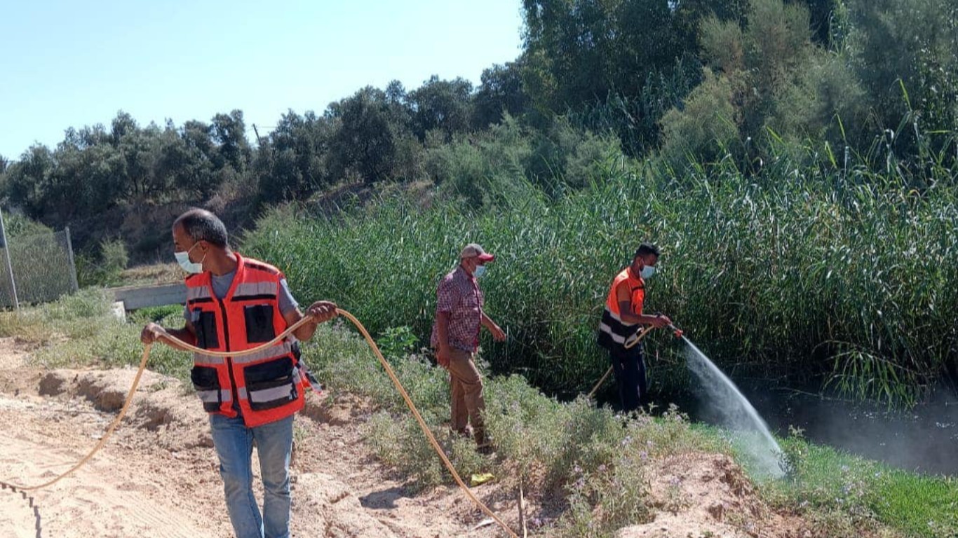 أعمال قسم الصحة والبيئة في بلدية البريج خلال رش مجرى الوادي بمادة BTI